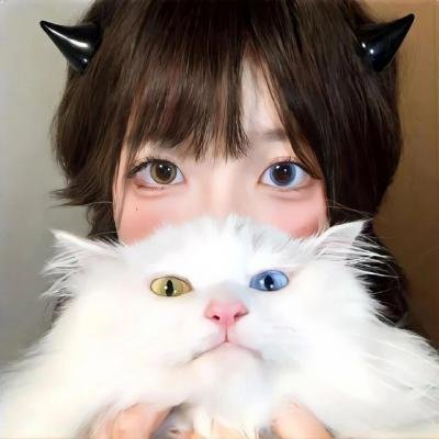 双面艾莉丝